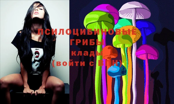 дживик Белоозёрский