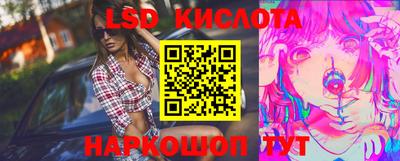 крисы Донской