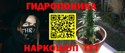 крисы Донской