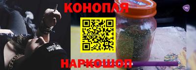 крисы Донской