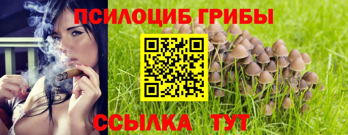 Псилоцибиновые грибы GOLDEN TEACHER  Псилоцибиновые грибы мухоморы  Вход с VPN  Бутурлиновка 