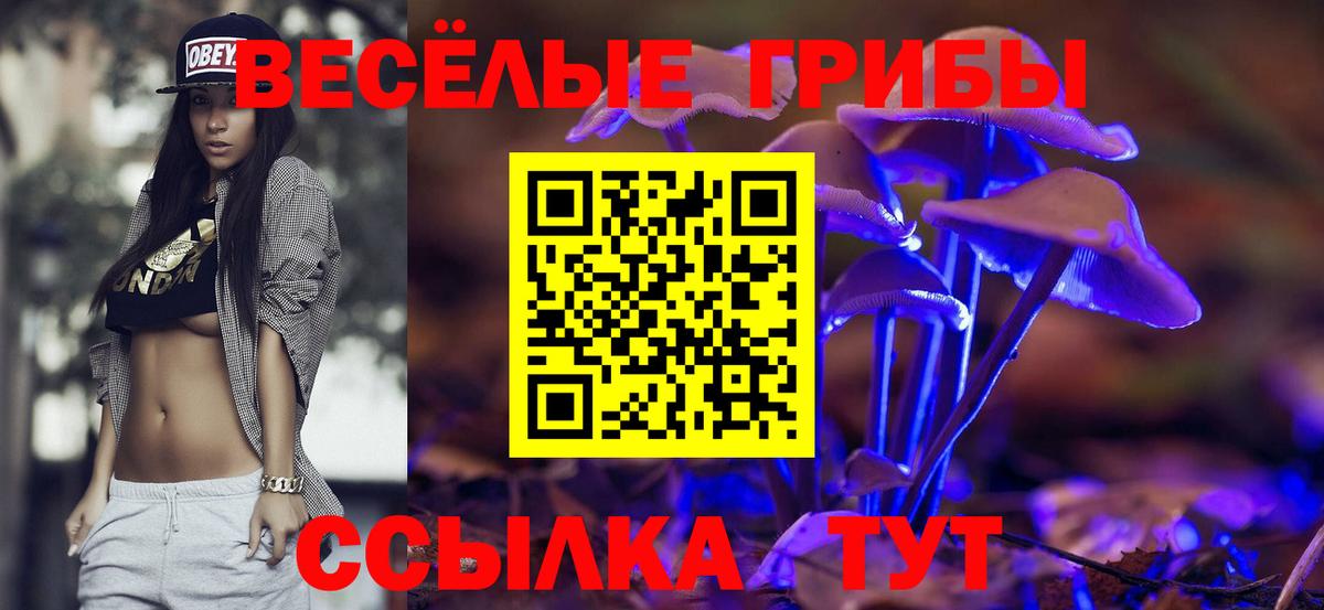 Псилоцибиновые грибы Cubensis Бутурлиновка